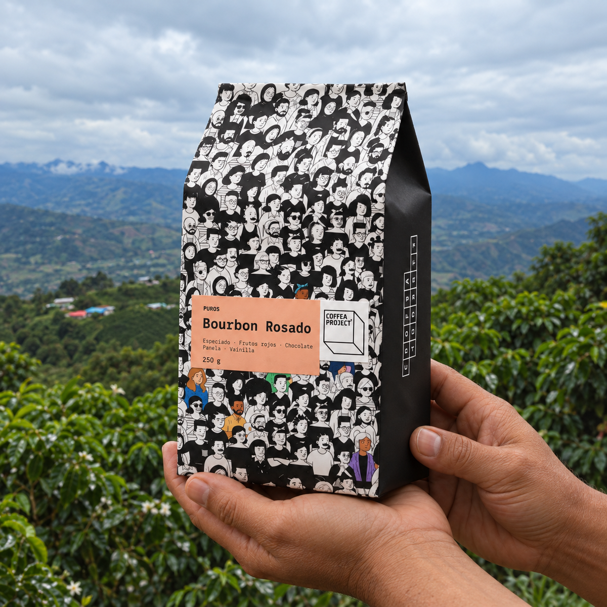 Montaje de una bolsa Bourbon Rosado de Coffea Project, línea Puros de 250 g, sostenida por manos frente al paisaje de Finca Esmeralda.