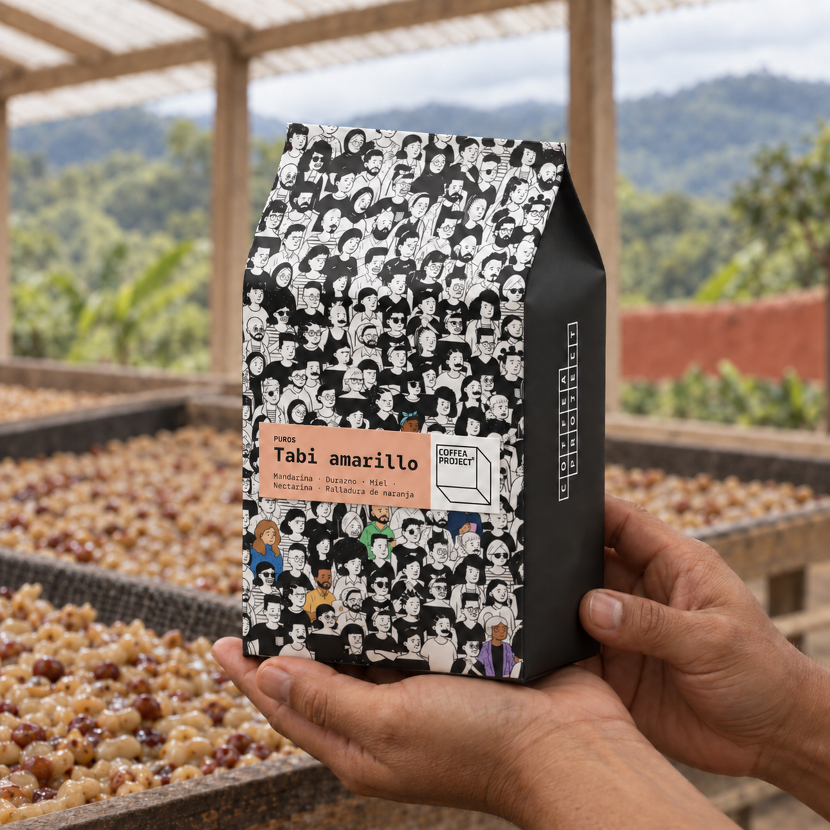 Bolsa de café Tabi amarillo de Coffea Project con tarjeta Puros, sostenida por manos frente a camas de secado de café honey.